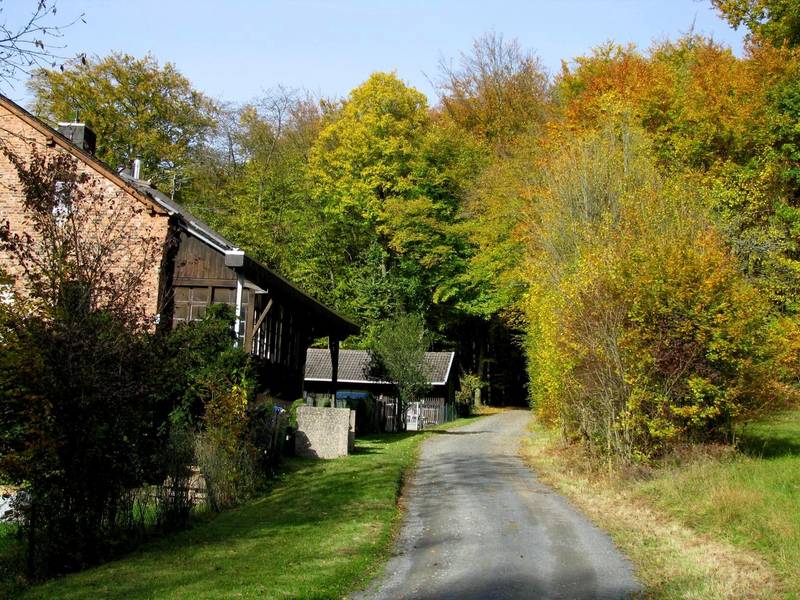 Waldweg zum Freizeitheim Forsthaus am Dünsberg.